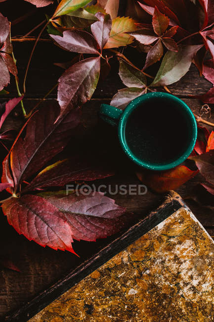 From above aged vintage book with bright red orange yellow autumn leaves and green cup with drink on wooden table — Stock Photo