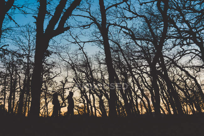 Vista laterale di persone dalla silhouette irriconoscibile che camminano nella foresta autunnale buia con alberi nudi — Foto stock