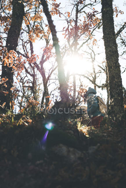 Von unten Seitenansicht einer nicht erkennbaren Frau, die im herbstlichen Wald zwischen Bäumen spaziert — Stockfoto