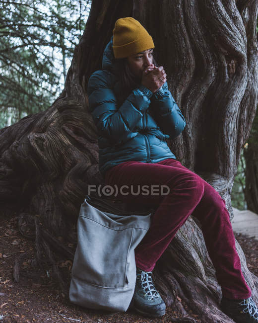 Jeune fille en tenue active chaude assise avec un sac à dos sur de vieilles racines d'arbres massifs et des mains chaudes — Photo de stock