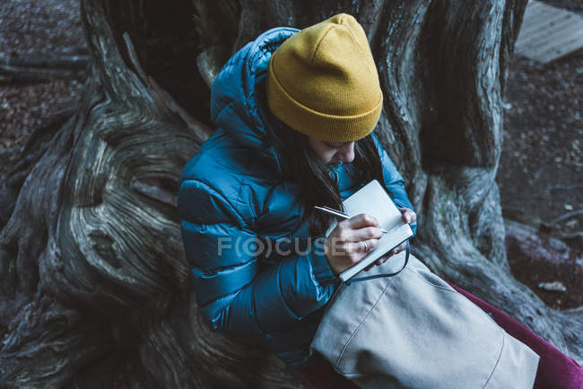 From above of girl  sitting on massive roots and taking notes in small notebook during exciting trekking in autumn forest — Stock Photo
