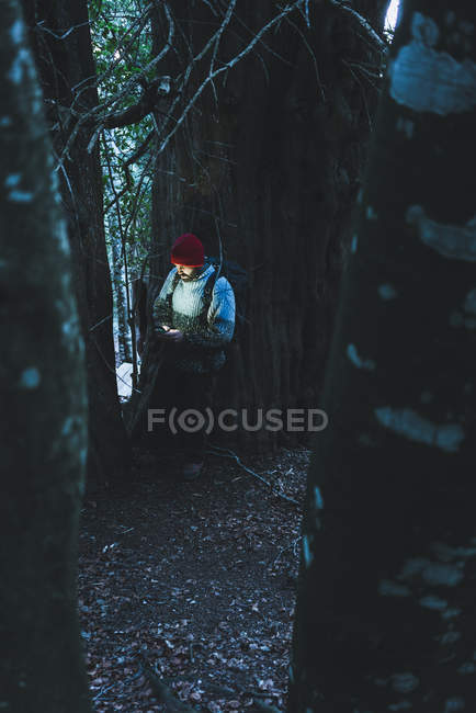 Sac à dos homme en casquette rouge debout à côté de pins verts massifs sur la pente de la montagne à l'aide d'un téléphone portable — Photo de stock