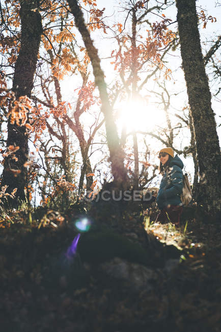 Vue de dessous d'une adolescente marchant dans la forêt d'automne parmi des arbres aux feuilles orange et rouge rétro-éclairées — Photo de stock