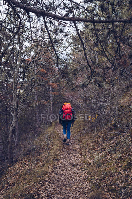 Da dietro escursionista con zaino a piedi lungo la strada con foglie secche da alberi nudi — Foto stock