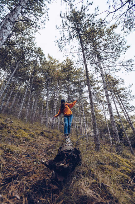 Dal basso donna fiduciosa in abiti caldi e cappello con braccia tese e camminare lungo il tronco in autunno foresta sempreverde — Foto stock