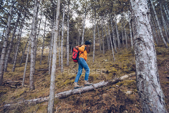 Вид сбоку решительной женщины в теплой одежде с рюкзаком, идущей по бревну в вечно зеленом лесу — стоковое фото