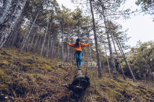 D'en bas femme confiante en vêtements chauds et chapeau marchant le long de la bûche en automne forêt sempervirente — Photo de stock
