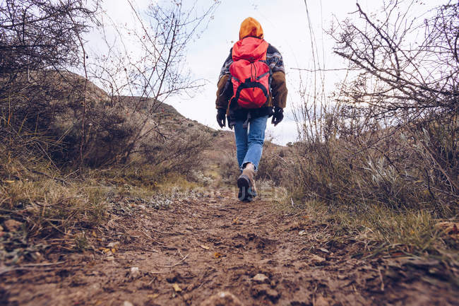 De trás turista com mochila brilhante em roupas quentes andando ao longo da estrada com folhas secas por árvores nuas — Fotografia de Stock