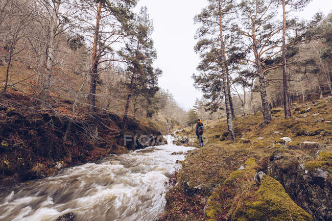 Woman in warm jacket standing by furious torrent at evergreen forest on cold autumn daytime — Stock Photo