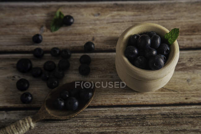 Appetizer plateful of blueberry on table — Stock Photo