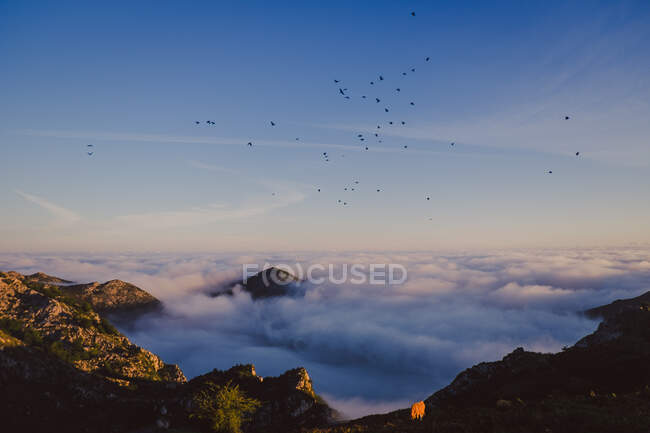 Merveilleuse vue du ciel bleu au-dessus de nuages épais blancs dans la vallée de la montagne — Photo de stock