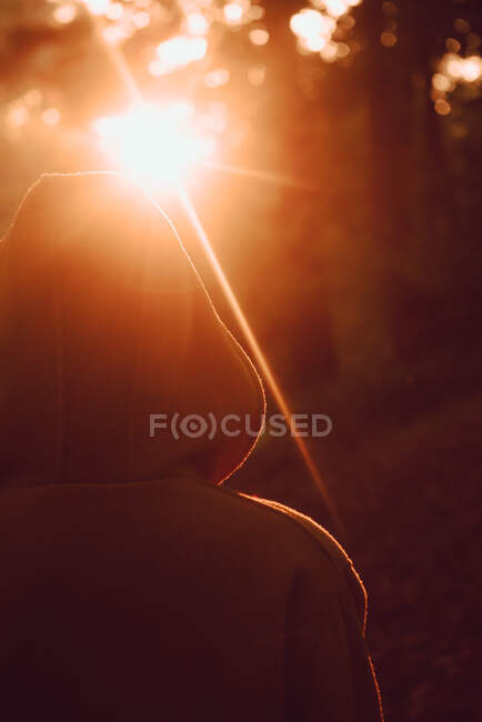 Людина дивиться захід сонця в осінньому лісі — стокове фото