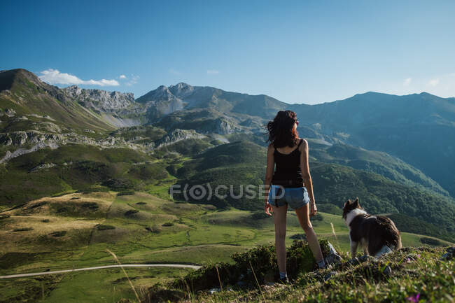 Vista posterior de la mujer adulta en ropa casual con el perro Border Collie disfrutando de una vista increíble de colinas verdes con prados verdes bajo cielo azul sin nubes - foto de stock