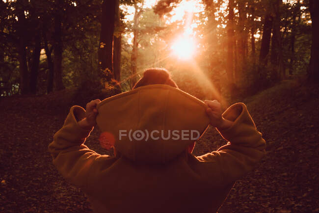 Людина дивиться захід сонця в осінньому лісі — стокове фото