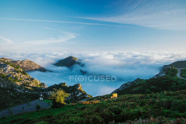Splendida vista del cielo blu sopra le nuvole bianche spesse nella valle dalla montagna — Foto stock
