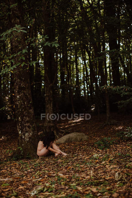 Nude sensual woman by tree in forest — Stock Photo
