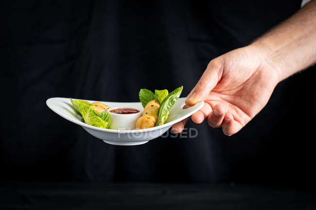 Placa redonda com molho de pimenta vermelha e rolos vietnamitas com verde na mão do chef — Fotografia de Stock