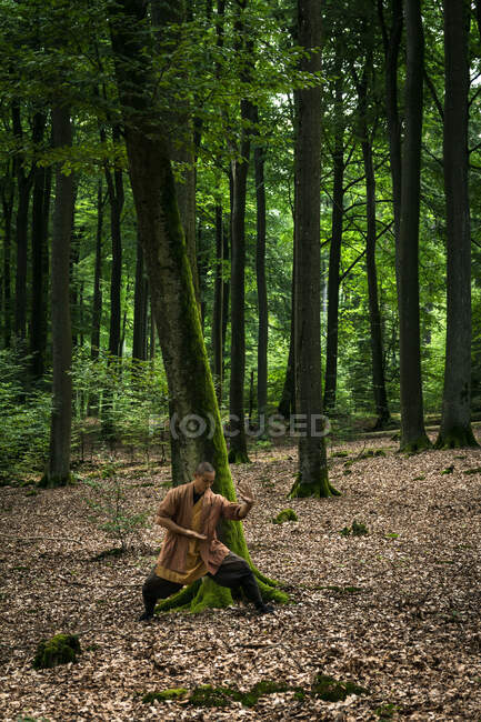 Етнічна людина, що практикує бойові мистецтва в лісі — стокове фото