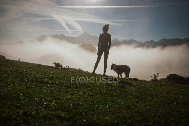 Back view of woman with Border Collie dog enjoying wonderful view of misty hills and valley against silhouette of mountains under blue sky in Asturias in sunny day — Fotografia de Stock