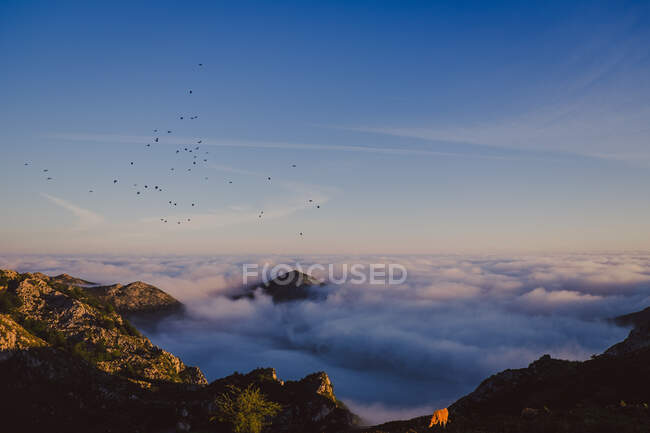 Чудовий краєвид на блакитне небо над білими товстими хмарами у долині з гори. — стокове фото