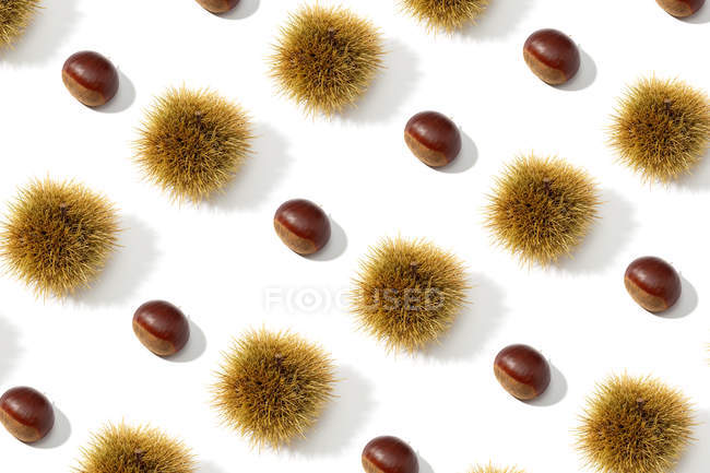 Pattern of sweet chestnuts peeled and husks on white background. — Stock Photo