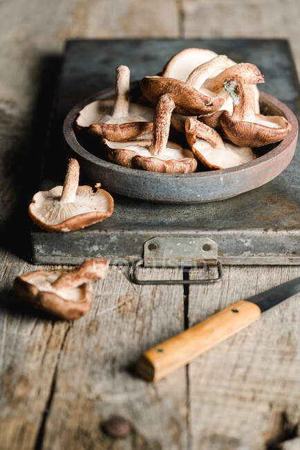 Высокий угол свежесобранных коричневых грибов Шиитаке в серой чаше на ржавом металлическом подносе на потрепанном деревенском деревянном столе — стоковое фото