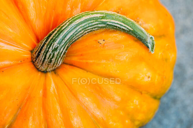 Fresh ripe orange pumpkin on gray surface — Stock Photo