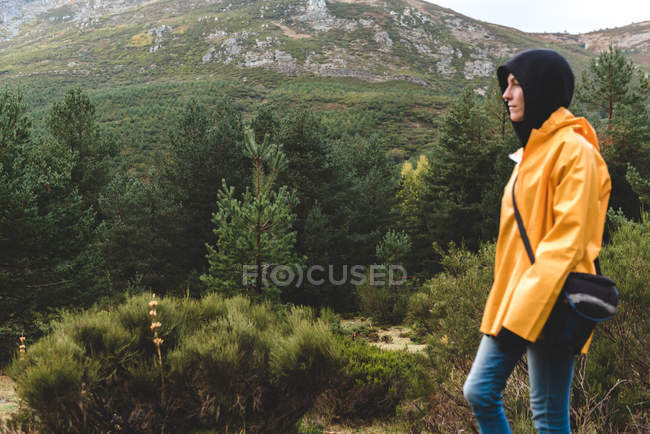 Mujer en impermeable amarillo caminando en el bosque - foto de stock