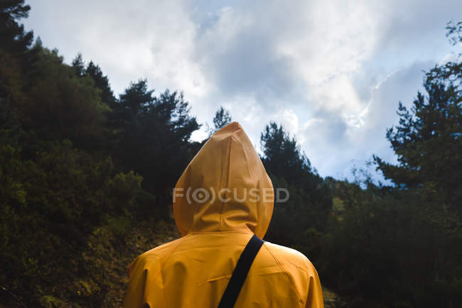 Vista posteriore della donna in impermeabile giallo che cammina nella foresta — Foto stock