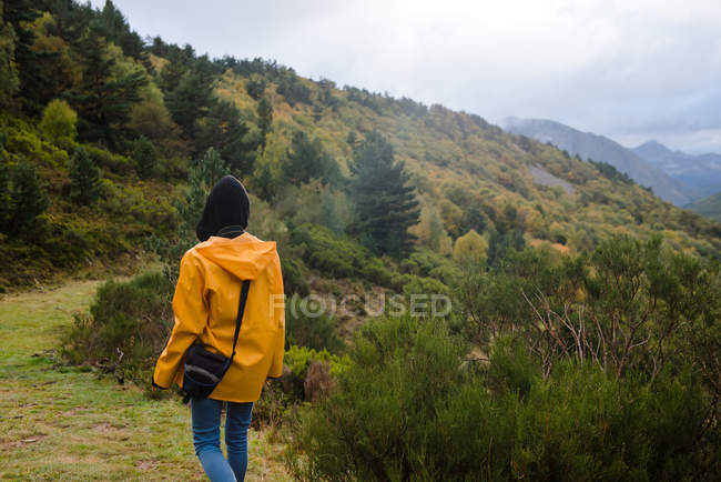 Rückansicht einer Frau im gelben Regenmantel, die im Wald spazieren geht — Stockfoto