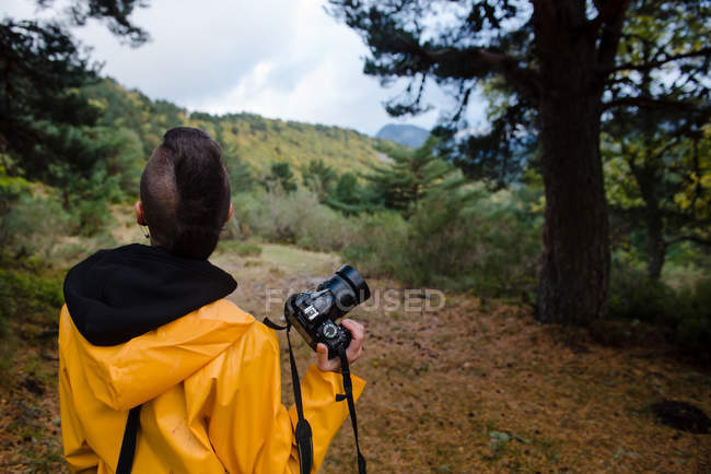 Vue arrière de la femme en imperméable jaune photographiant un arbre en montagne — Photo de stock