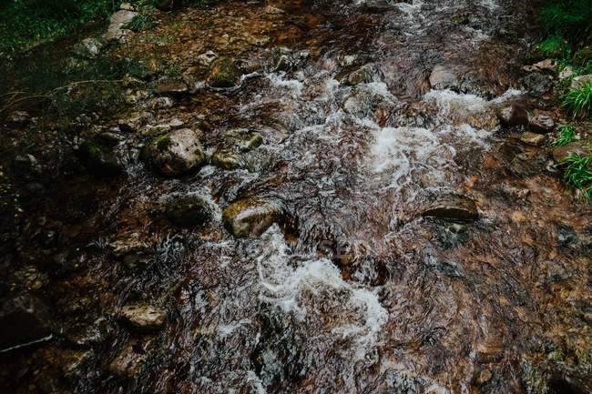 Montage de l'eau du ruisseau traversant une vieille forêt en automne — Photo de stock