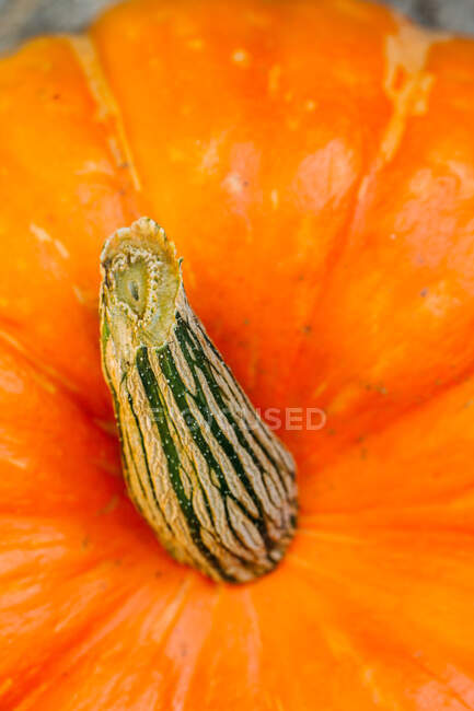 Frischer reifer orangefarbener Kürbis auf grauer Oberfläche — Stockfoto