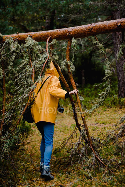 Вид сзади женщины в капюшоне и желтом плаще, идущей по лесу — стоковое фото