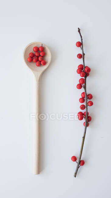 From above twig and spoon with shiny bright red winter berry holly on gray background — Stock Photo