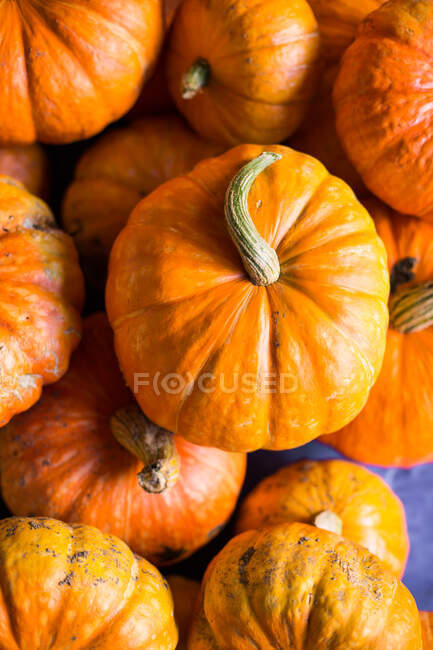 Pile of fresh ripe orange pumpkins on table — Stock Photo