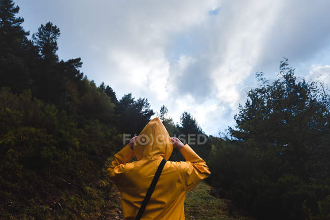 Vue arrière de la femme en imperméable jaune marchant dans la forêt — Photo de stock