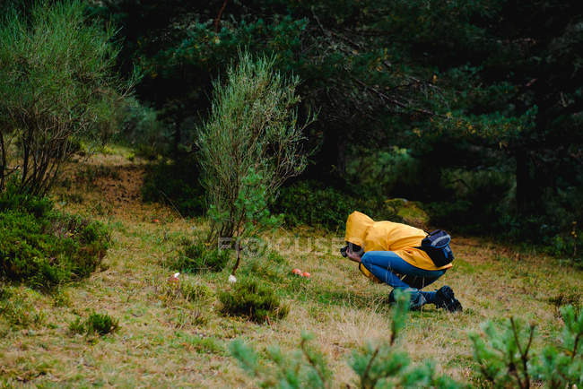 Mulher de capa de chuva amarela fotografando cogumelos — Fotografia de Stock