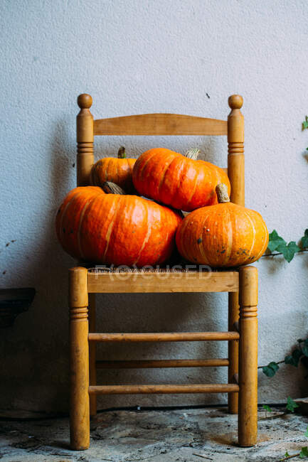 Блестящие оранжевые тыквы на стульях — стоковое фото