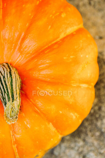 From above big vibrant ripe pumpkin with dry thick stalks on blurred gray floor — Stock Photo