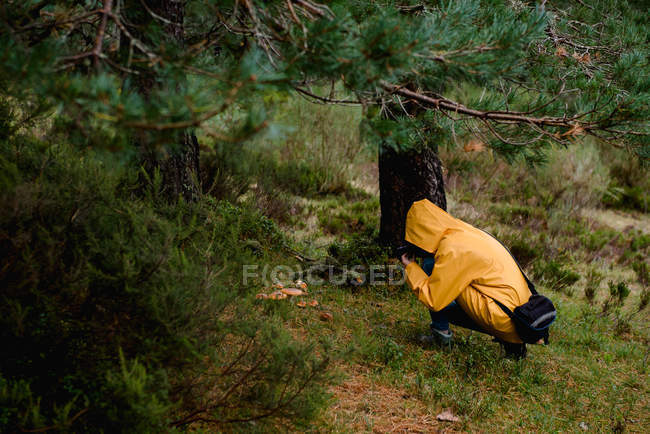 Femme en imperméable jaune photographiant des champignons — Photo de stock