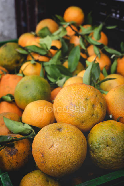 Стенд полный спелых органических апельсинов на открытом рынке фермеров — стоковое фото
