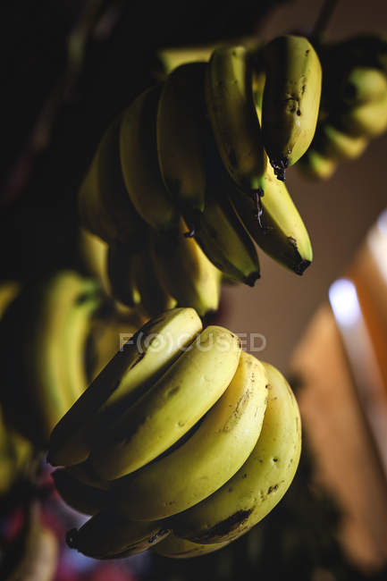 Fique cheio de bananas biológicas maduras no mercado ao ar livre dos agricultores — Fotografia de Stock