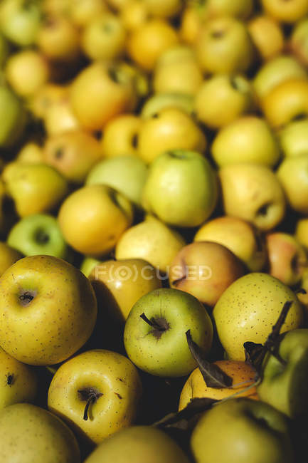 Підставка повна стиглих органічних зелених яблук на ринку фермерів — стокове фото