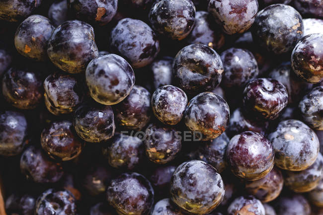 Stand lleno de uvas orgánicas maduras en el mercado de agricultores al aire libre - foto de stock