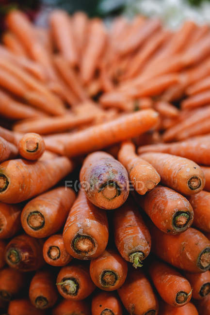 Stand full of ripe organic carrots at farmers outdoor market — Stock Photo