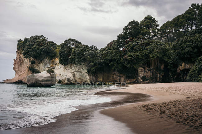 Пейзаж песчаного пляжа и океанских волн у скал, заросших зеленью на полуострове Коромандель в Новой Зеландии — стоковое фото