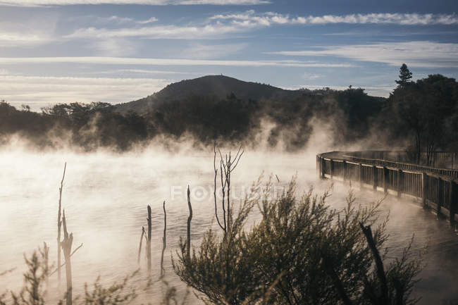 Таинственное туманное озеро возле лесного моста с большими горами и голубым небом в Ротоуре, Новая Зеландия — стоковое фото