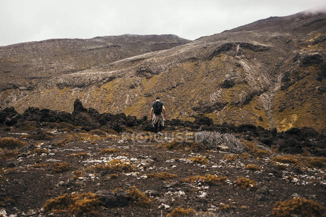 Vista trasera de un viajero irreconocible disfrutando de la vista en un terreno rocoso con cielo nublado en Nueva Zelanda - foto de stock