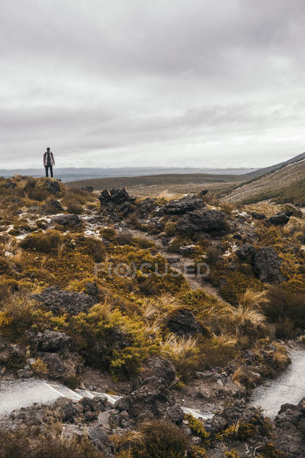 Viajante desfrutando de vista em terreno rochoso com céu nublado na Nova Zelândia — Fotografia de Stock